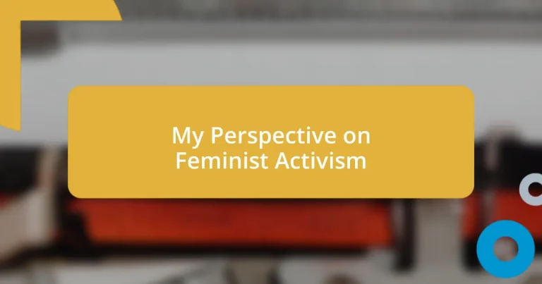 My Perspective on Feminist Activism