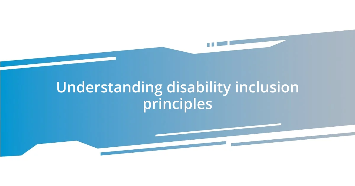 Understanding disability inclusion principles